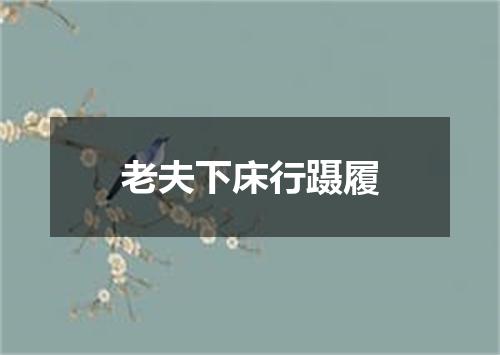老夫下床行蹑履