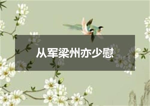 从军梁州亦少慰