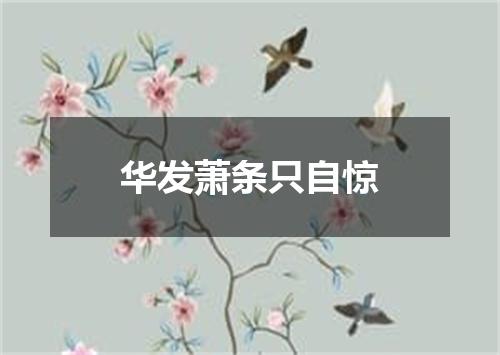 华发萧条只自惊