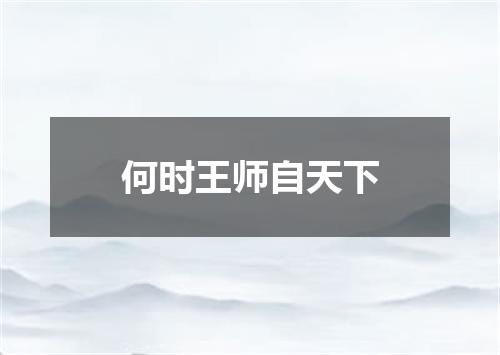 何时王师自天下
