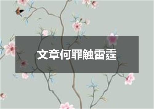 文章何罪触雷霆