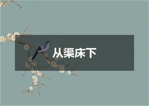 从渠床下