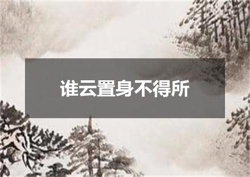 谁云置身不得所