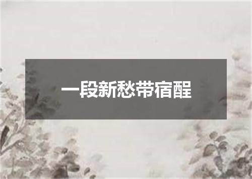 一段新愁带宿酲