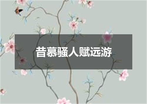 昔慕骚人赋远游
