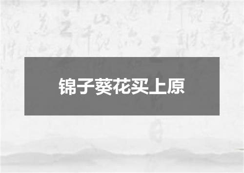 锦子葵花买上原