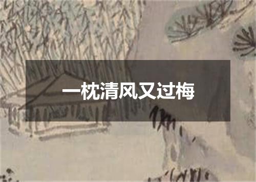 一枕清风又过梅