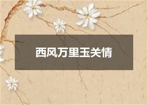 西风万里玉关情