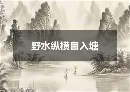 野水纵横自入塘