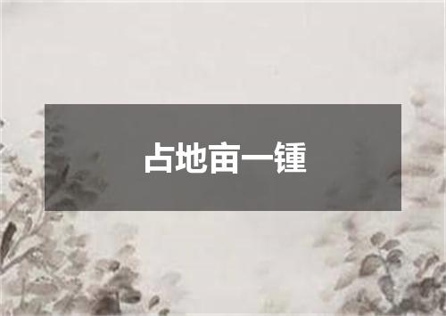 占地亩一锺