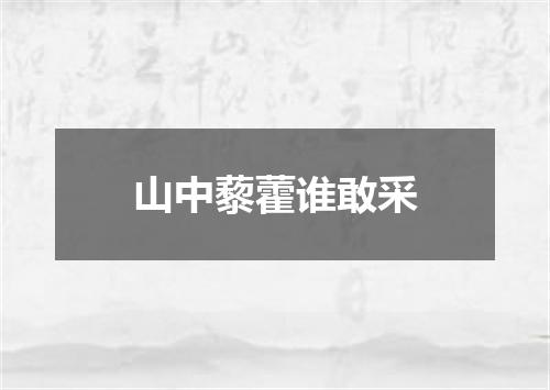 山中藜藿谁敢采