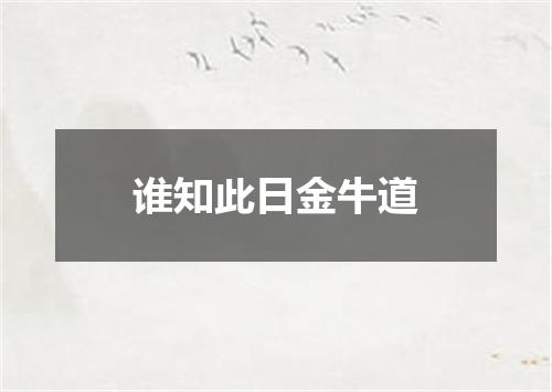 谁知此日金牛道