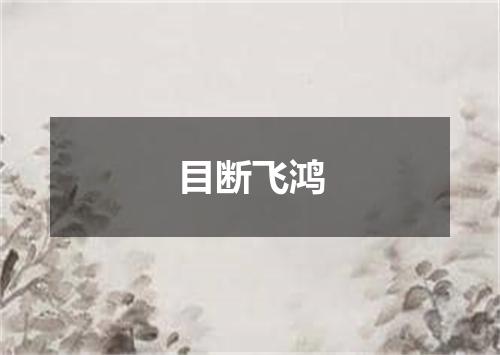 目断飞鸿