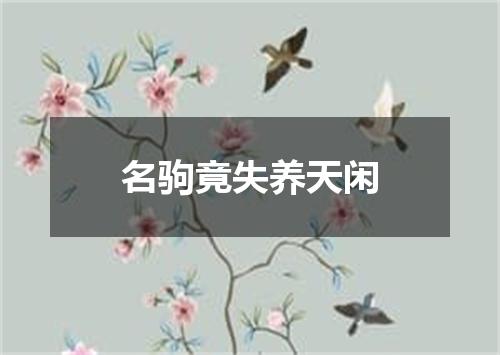 名驹竟失养天闲