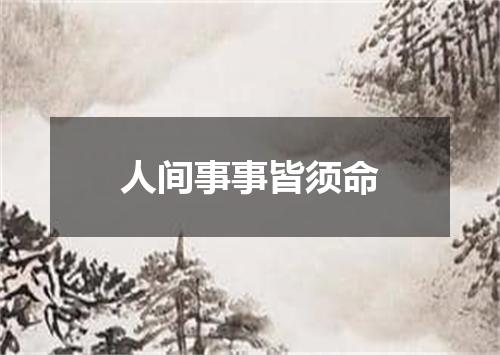 人间事事皆须命