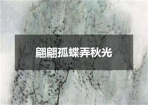 翩翩孤蝶弄秋光