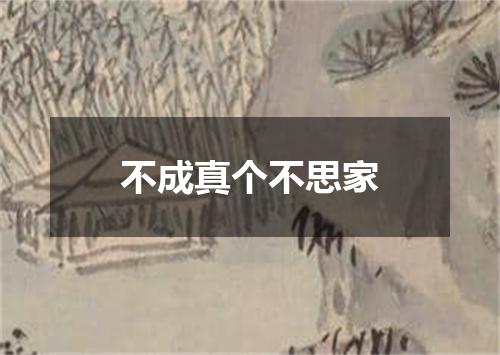不成真个不思家