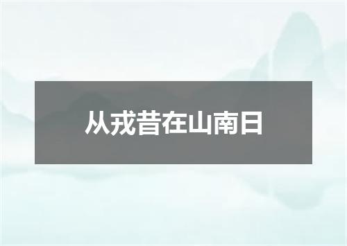 从戎昔在山南日