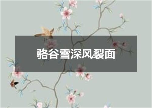 骆谷雪深风裂面