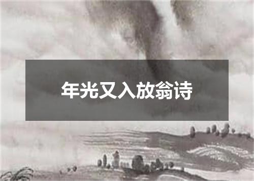 年光又入放翁诗
