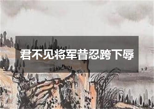 君不见将军昔忍跨下辱