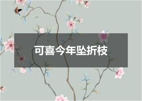 可喜今年坠折枝