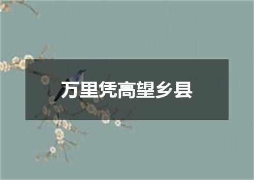 万里凭高望乡县