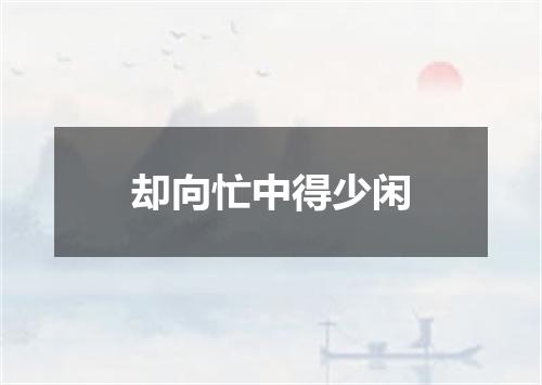 却向忙中得少闲