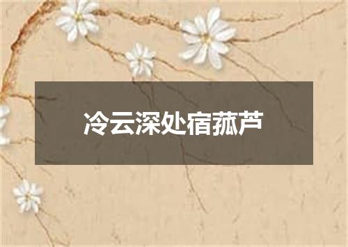 冷云深处宿菰芦
