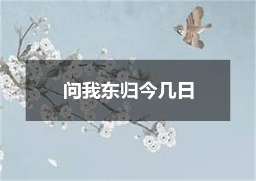 问我东归今几日