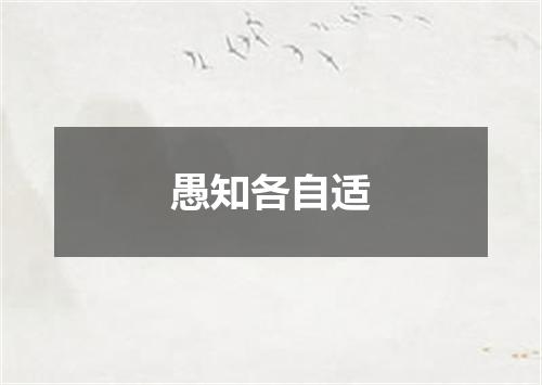 愚知各自适