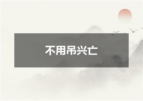 不用吊兴亡
