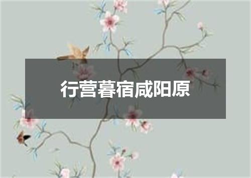 行营暮宿咸阳原