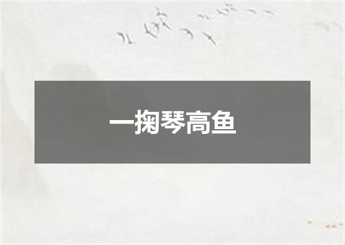 一掬琴高鱼