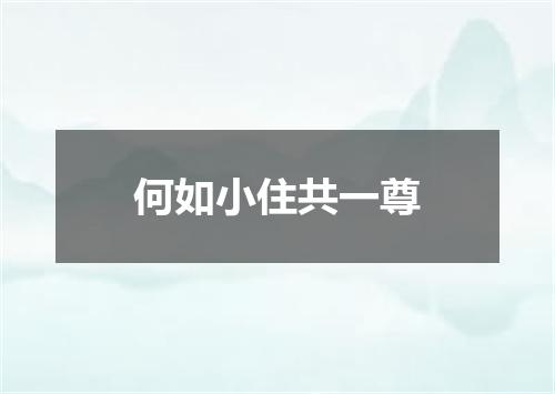 何如小住共一尊