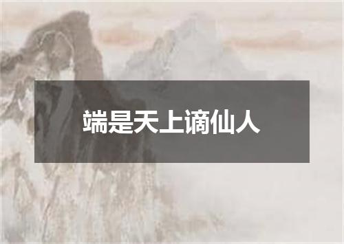 端是天上谪仙人