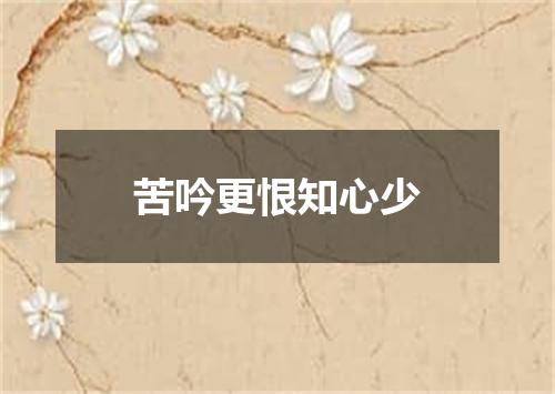 苦吟更恨知心少