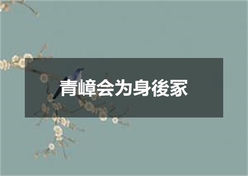 青嶂会为身後冢