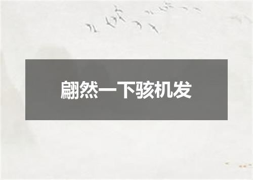 翩然一下骇机发