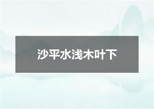 沙平水浅木叶下