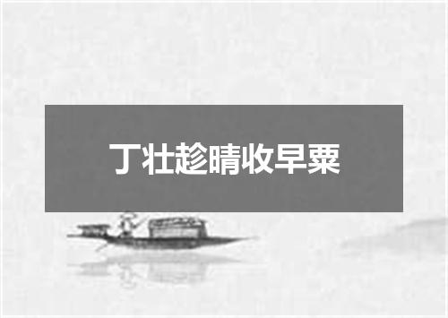 丁壮趁晴收早粟