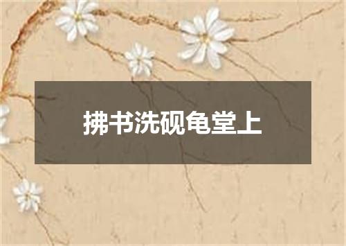 拂书洗砚龟堂上