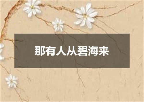 那有人从碧海来