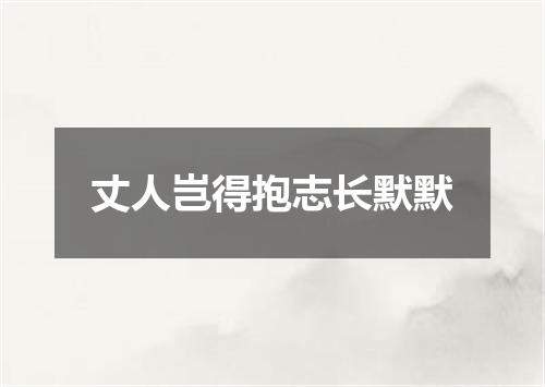 丈人岂得抱志长默默