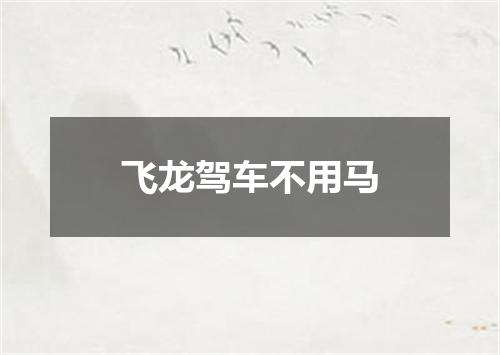 飞龙驾车不用马