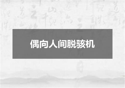 偶向人间脱骇机