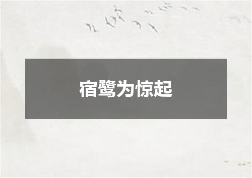 宿鹭为惊起