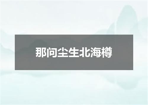 那问尘生北海樽