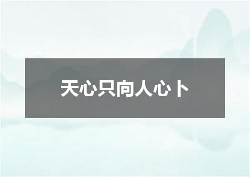 天心只向人心卜