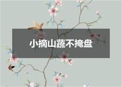 小摘山蔬不掩盘